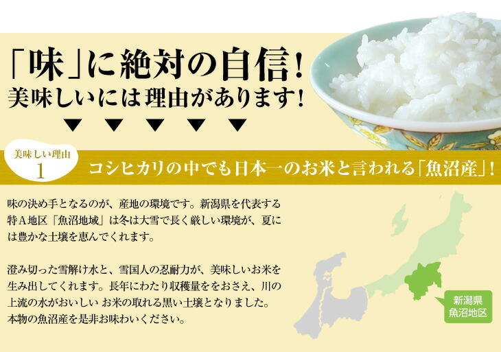 魚沼産 コシヒカリ 10kg 送料無料 新潟県産 令和4年産 10キロ お米